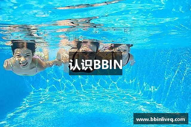 认识BBIN